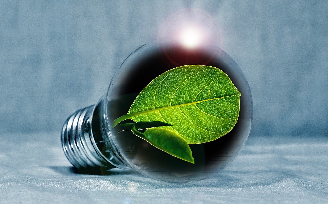 electricity savings